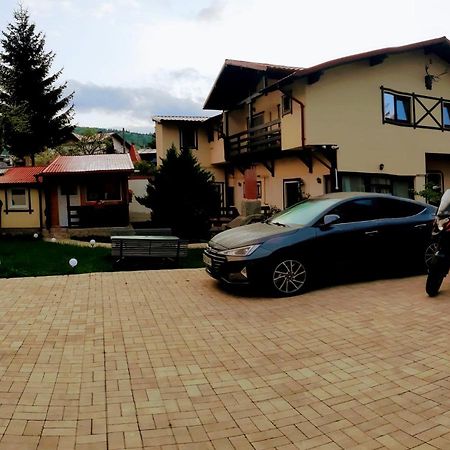 Casa Cu Flori Otel Buşteni Dış mekan fotoğraf
