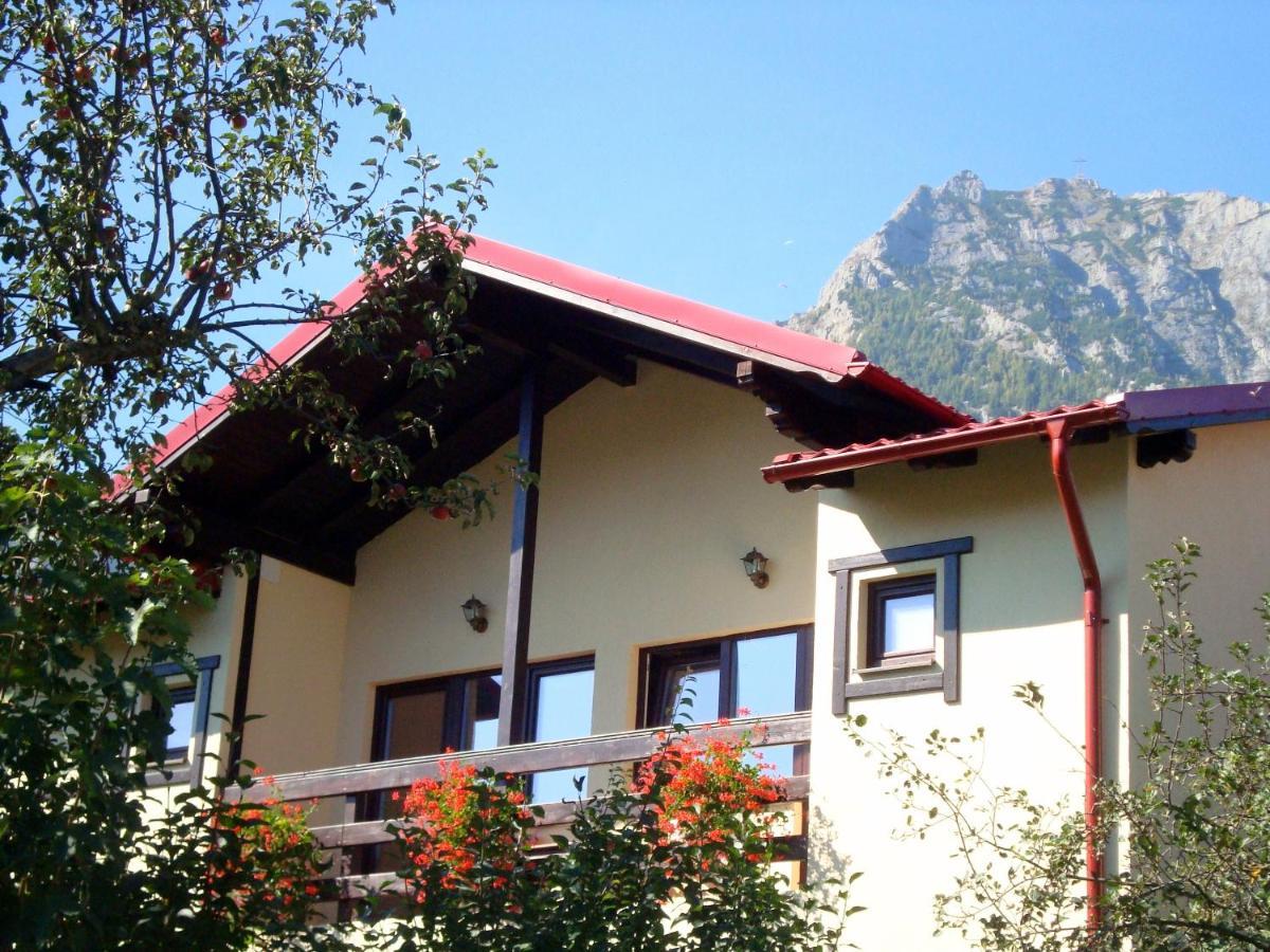 Casa Cu Flori Otel Buşteni Dış mekan fotoğraf