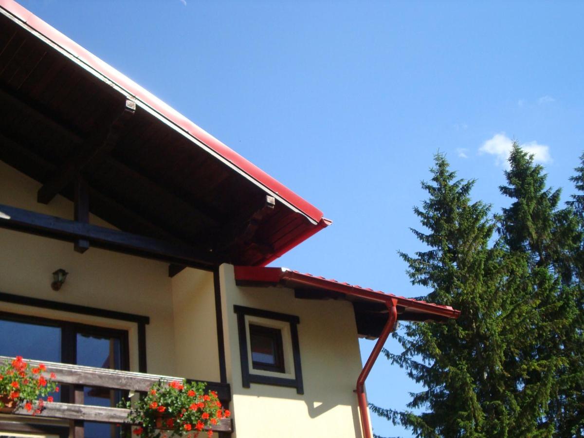 Casa Cu Flori Otel Buşteni Dış mekan fotoğraf