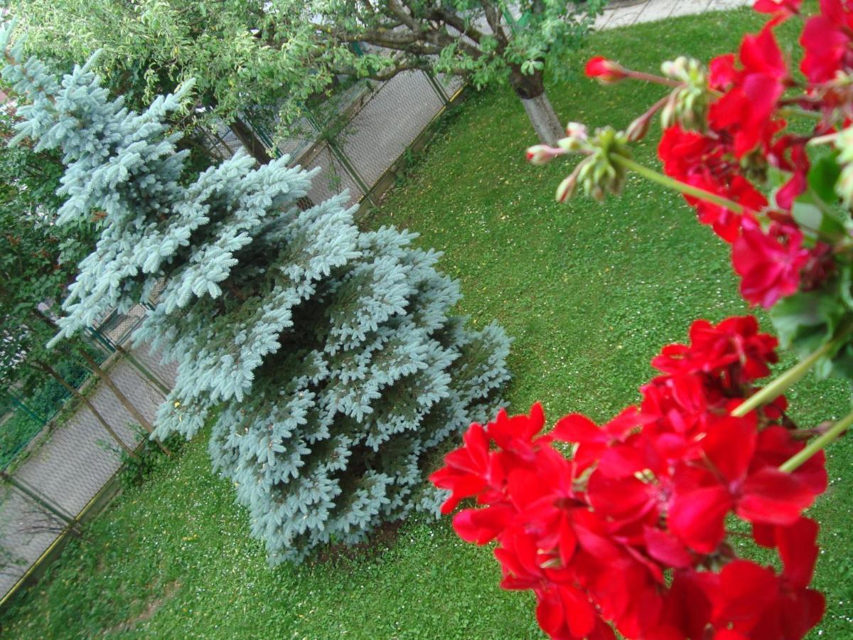 Casa Cu Flori Otel Buşteni Dış mekan fotoğraf