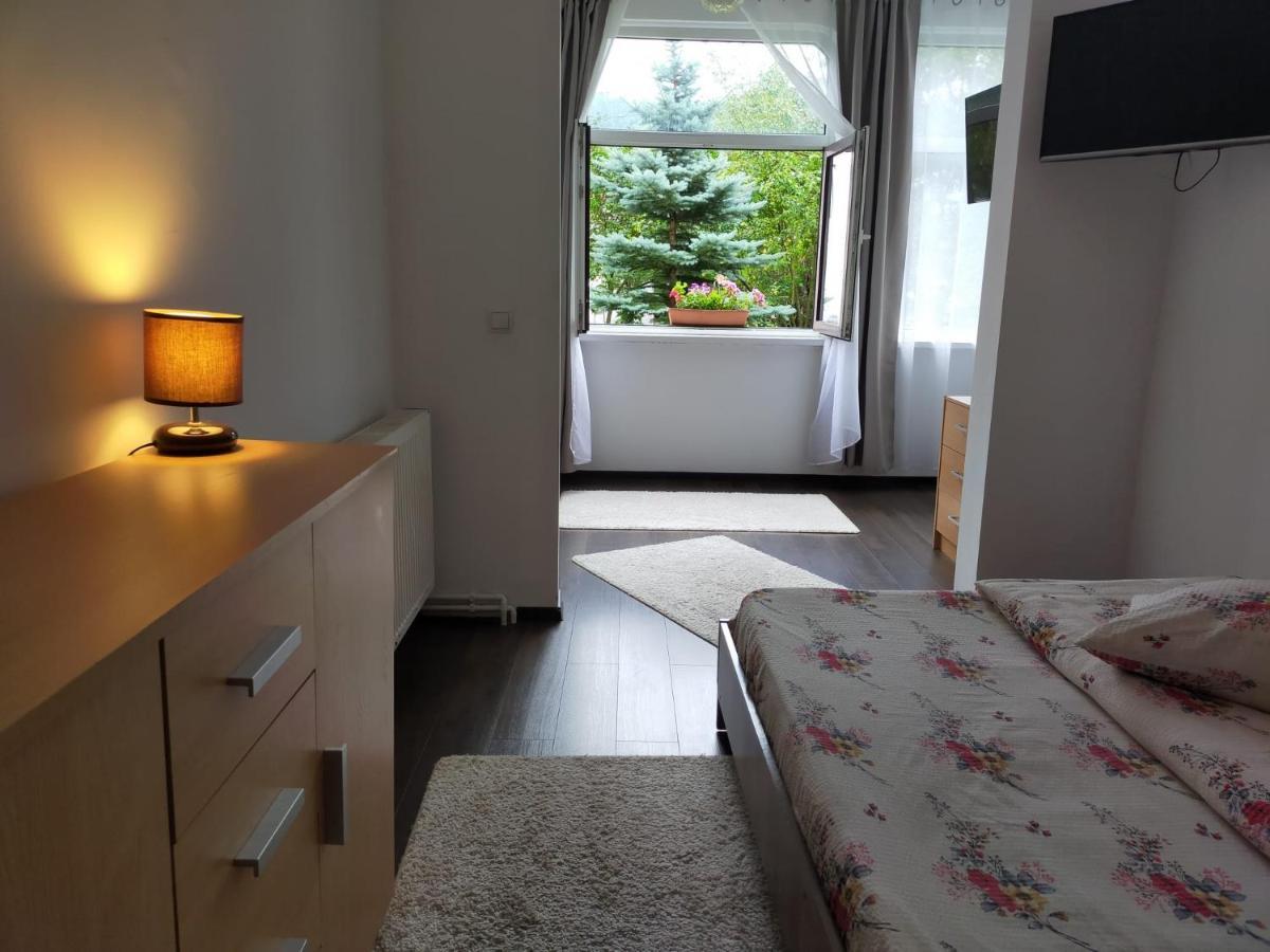 Casa Cu Flori Otel Buşteni Dış mekan fotoğraf