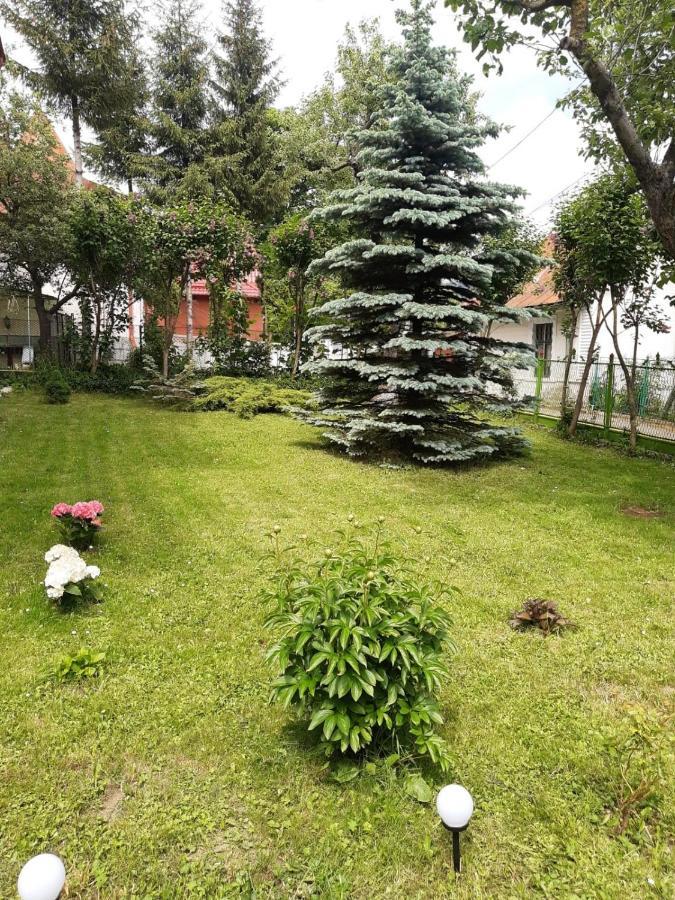 Casa Cu Flori Otel Buşteni Dış mekan fotoğraf