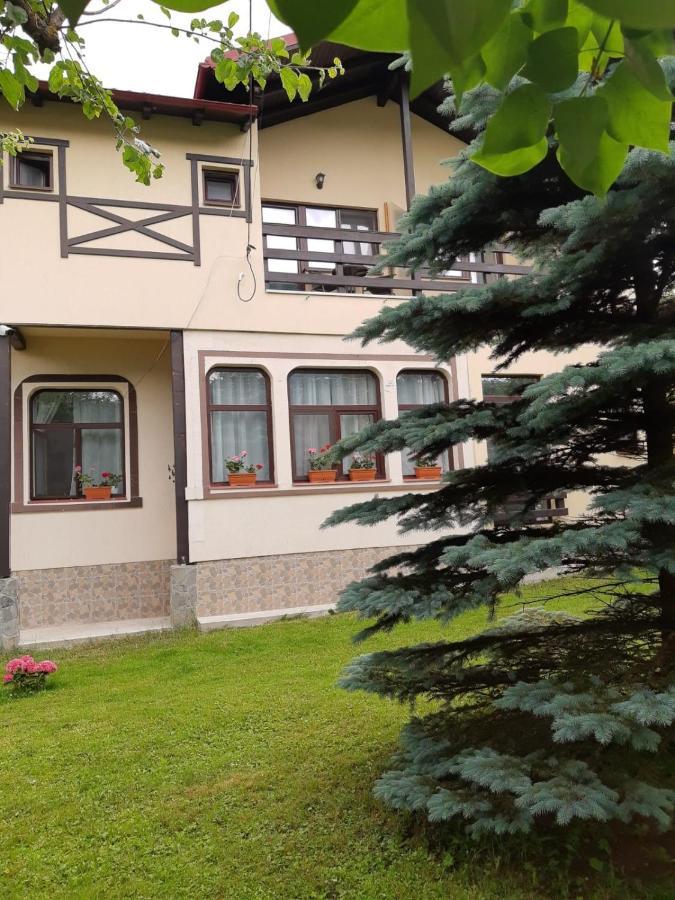 Casa Cu Flori Otel Buşteni Dış mekan fotoğraf