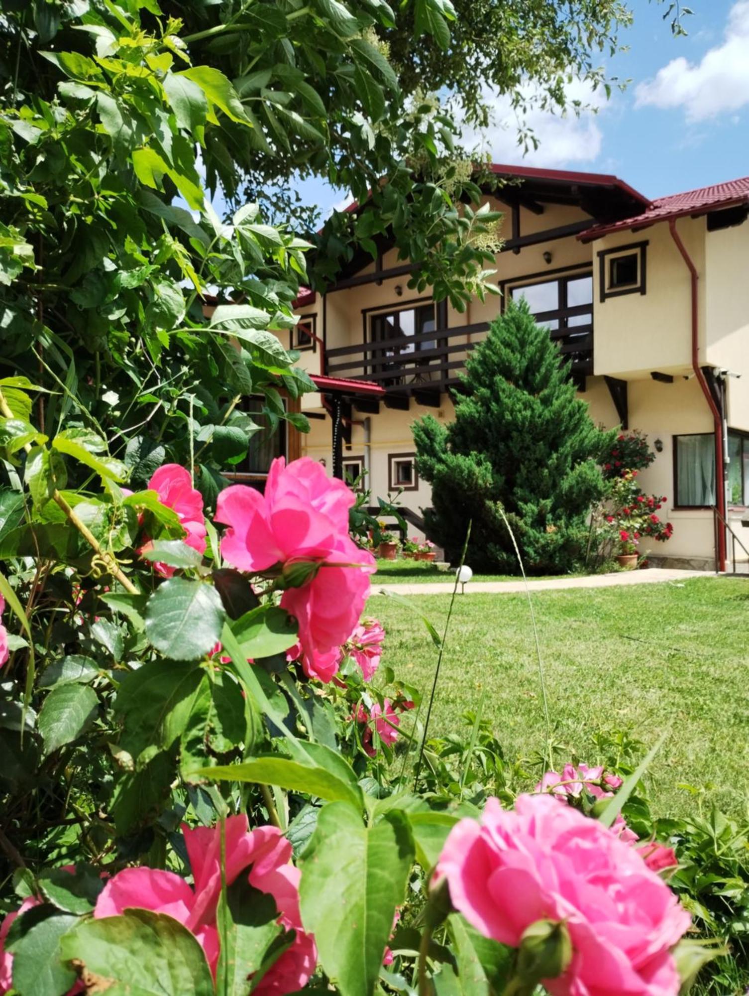 Casa Cu Flori Otel Buşteni Dış mekan fotoğraf